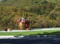 武漢大型景觀雕塑制作公司推薦及景觀工程服務(wù)導(dǎo)覽