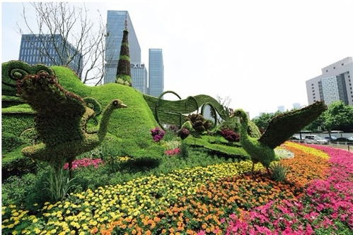 運動與自然的完美融合 專業(yè)定制騎自行車健身主題仿真綠雕造型